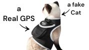 Rechargeable Mini GPS Realtime Pet Tracking Collars for Hunting Dogs Size:XL