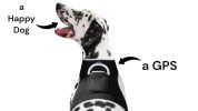 Hunting Made Easy w/ NEW Pet Tracker GPS Tracking Collars for Hunting Dogs Size:M