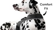 Pet Tracker Realtime GSM GPS Tracking Collars for Hunting Dogs Waterproof Size:XS