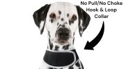 Rechargeable Pocket GPS GSM Tracking Collars for Hunting Dogs Realtime Size:L