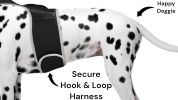 Hunting Made Easy w/ NEW Pet Tracker GPS Tracking Collars for Hunting Dogs Size:L