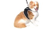 Hunting Made Easy w/ NEW Pet Tracker GPS Tracking Collars for Hunting Dogs Size:L