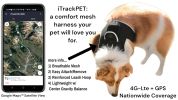 Rechargeable Mini GPS Realtime Pet Tracking Collars for Hunting Dogs Size:XL